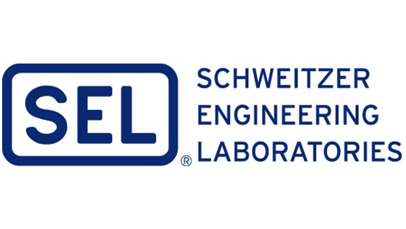 Michigan Microsoft Schweitzer Consultant