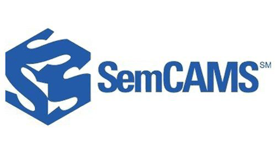 Michigan Microsoft Semcams Consultant