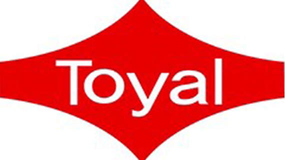 Michigan Microsoft Toyal Consultant